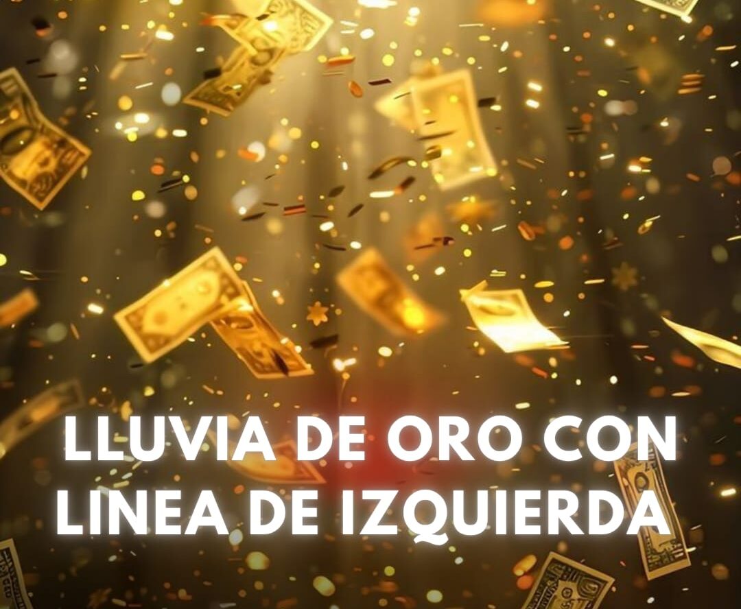 WhatsApp Image 2025-10-11 at 13.04.52