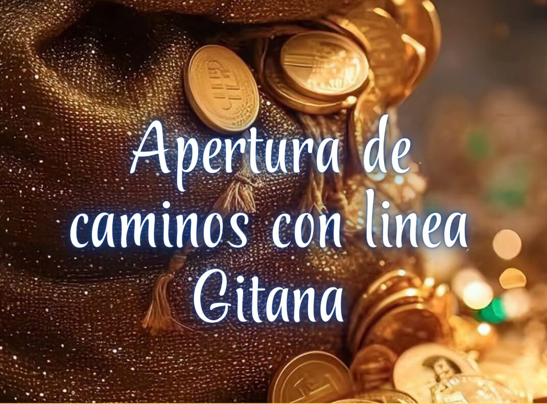 WhatsApp Image 2025-10-11 at 13.04.54